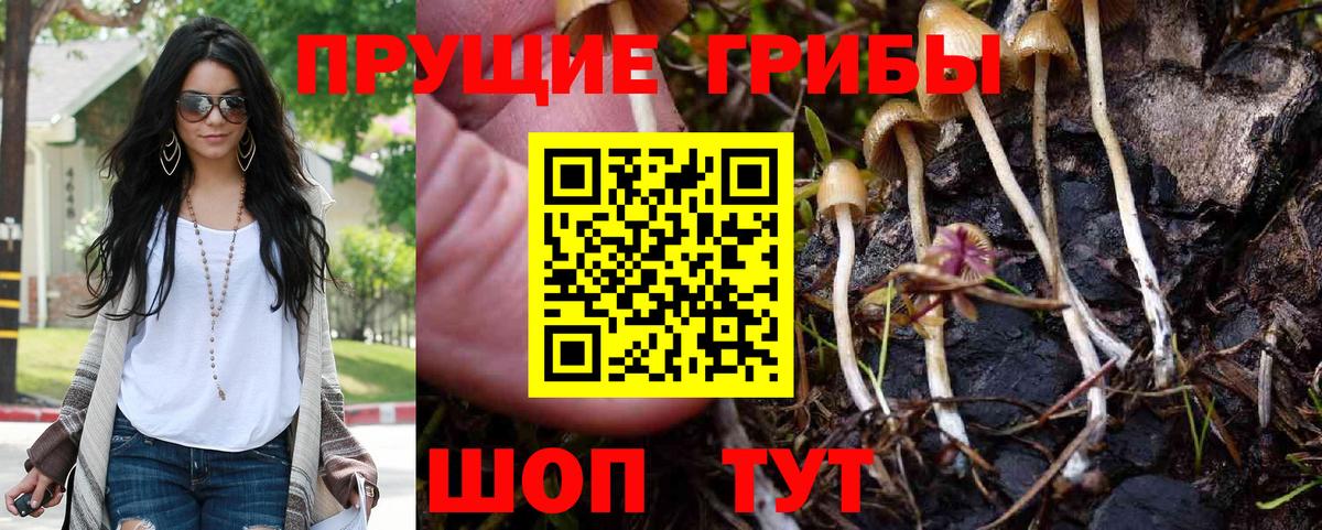 Псилоцибиновые грибы Cubensis Урай